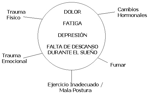 Figura 2: Factores que pueden contribuir a los síntomas de la Fibromialgia.